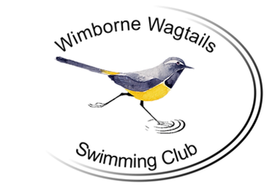 Wimborne Wagtails Swimming Club For The Disabled logo
