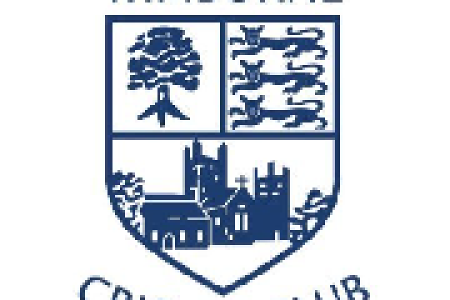 Wimborne Cricket Club logo