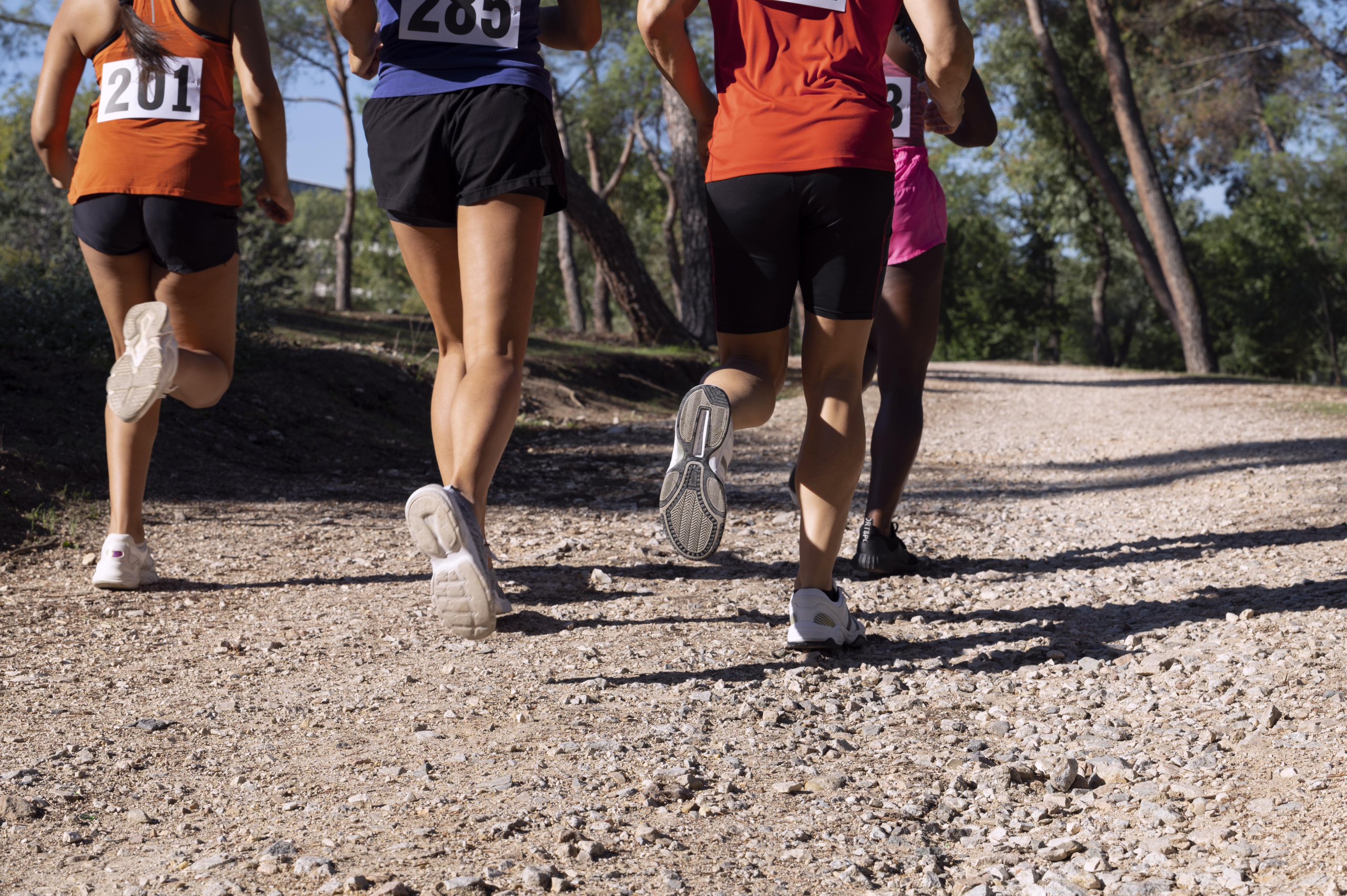 Wimborne Runners